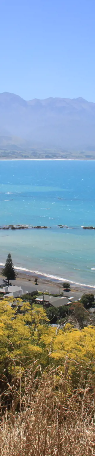 Mit dem Zug «Coastal Pacific» entlang der neuseeländischen Küste